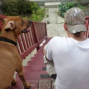 Meet your Posher, Stephen